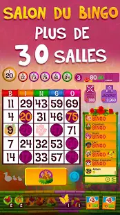 Aperçu Praia Bingo VidéoBingo Gratuit - Img 1