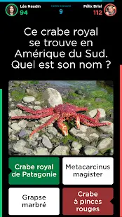 TÉLÉCHARGER QUIZUP WINDOWS GRATUITEMENT