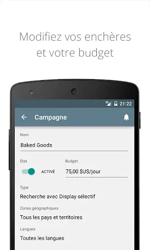 Aperçu Google Ads - Développez votre activité en ligne - Img 2