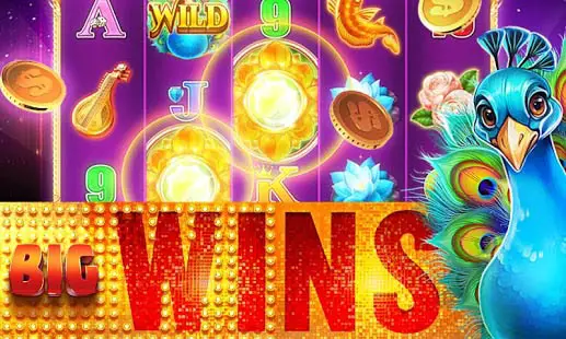 Aperçu Machines à Sous Casino Gratuit - Big Bonus Slots - Img 1
