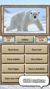 Aperçu Règne animal - jeu de quiz - Img 2