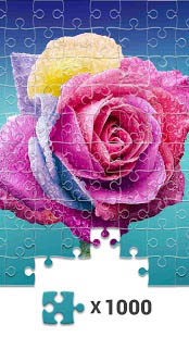 Aperçu Jigsaw1000 - Jigsaw puzzles - Img 1
